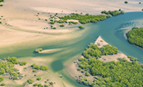 iad-economie-verte-blue-dakar