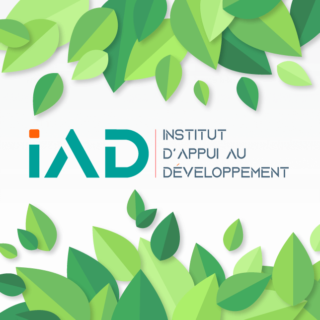 Development Support Institute - Presentation